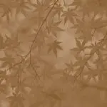 دانلود آهنگ الان تو آسمونی حالمو خوب میدونی “هوش مصنوعی” از هایده